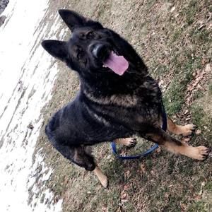 Meet your Posher, Alexandra